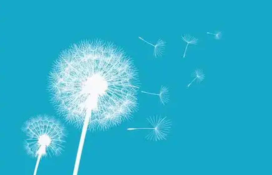 該不該做跟風(fēng)者